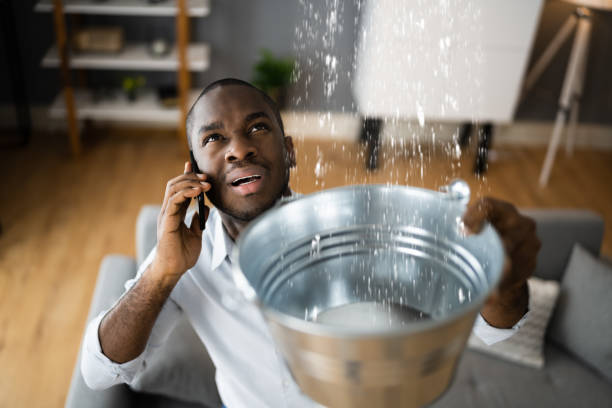 Best Water damage cleanup near me  in Palm Shores, FL