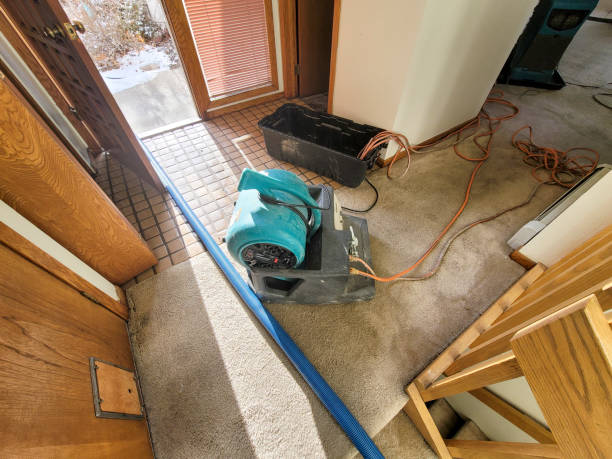 Best Ceiling water damage repair  in Palm Shores, FL