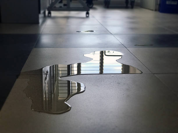 Best Water damage repair service  in Palm Shores, FL