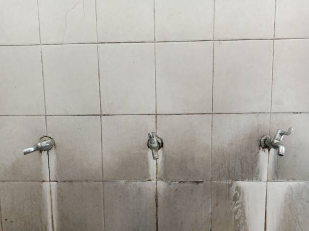 Best Professional water damage repair  in Palm Shores, FL