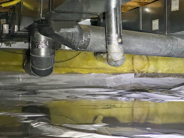Best Fire Damage Restoration  in Palm Shores, FL