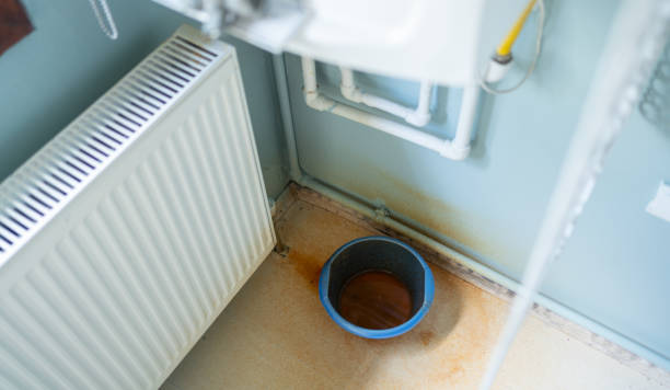  Palm Shores, FL Water damage restoration Pros