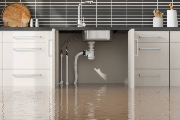 Best Water damage contractors near me  in Palm Shores, FL