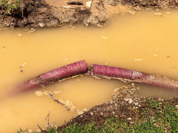 Best Residential water damage restoration  in Palm Shores, FL