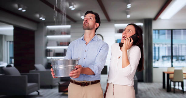 Best Water damage restoration near me  in Palm Shores, FL